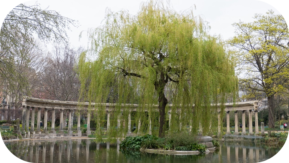 Visite du parc Monceau