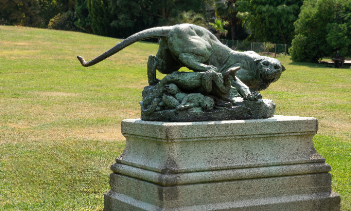 La lionne du parc Montsouris