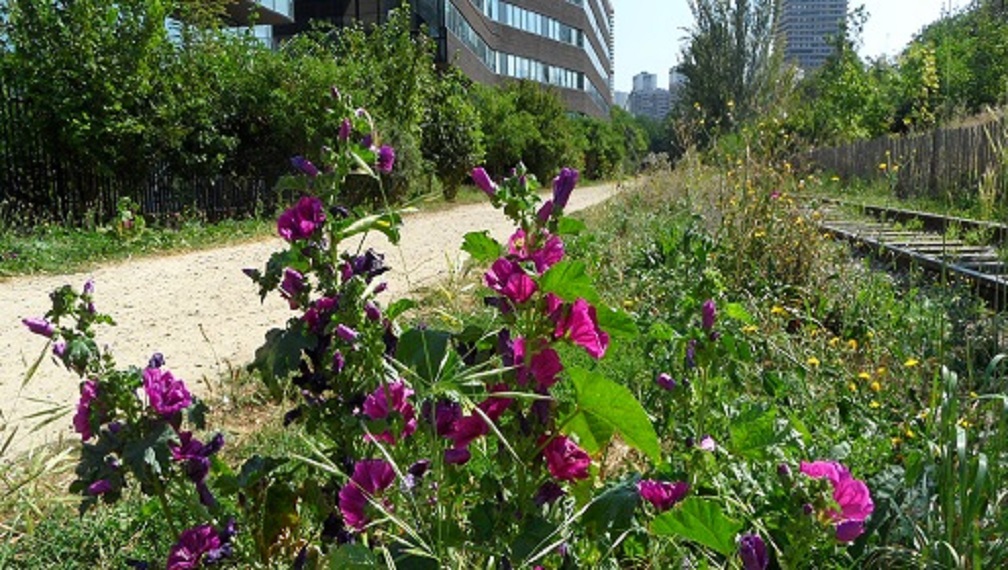 Visite guidée : Ceinture Verte au sud de Paris 13e